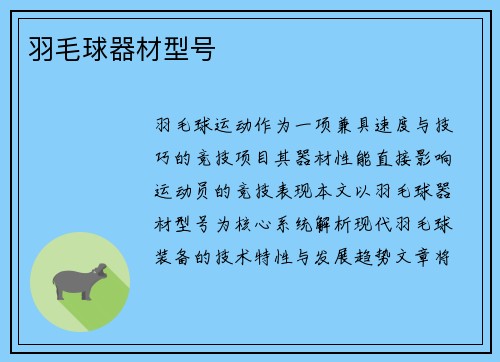 羽毛球器材型号